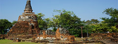 バンコク市内寺院&アユタヤー観光