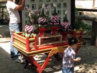花嫁花婿