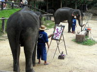 象のお絵かき　メーサーエレファントキャンプ