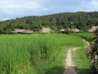 村の風景　メーリム　チェンマイ