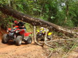 ATVツアー
