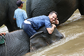 象と水遊び